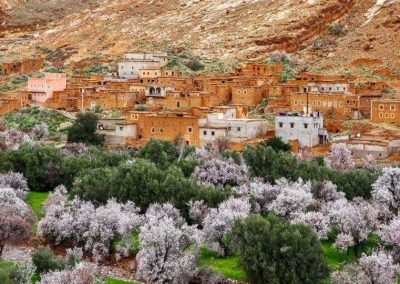 Morocco Sahara Tour / In Morocco Trips