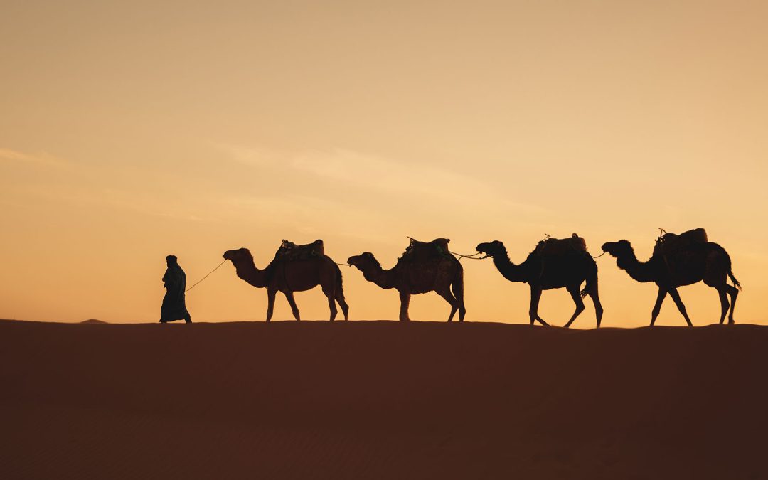 Merzouga Camel Trekking: Desert Activity