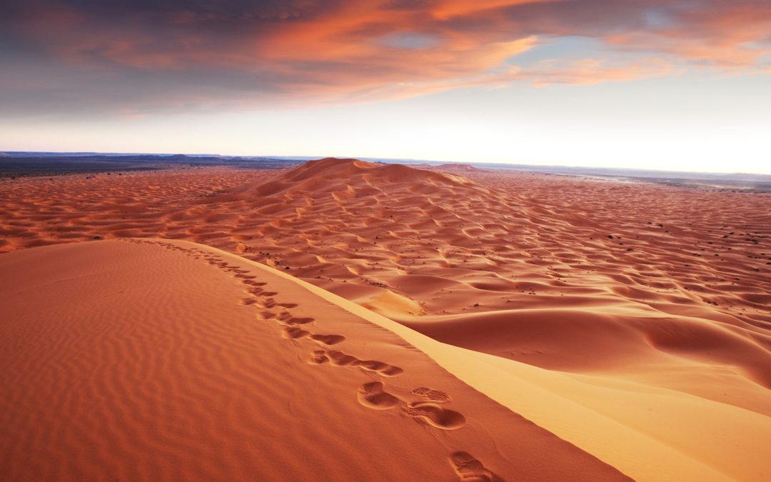 4-Day Ouarzazate Desert Tour / Desert Tour in Morocco